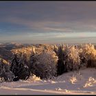 Black Forest in white