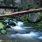 Black Forest - Ravennaschlucht