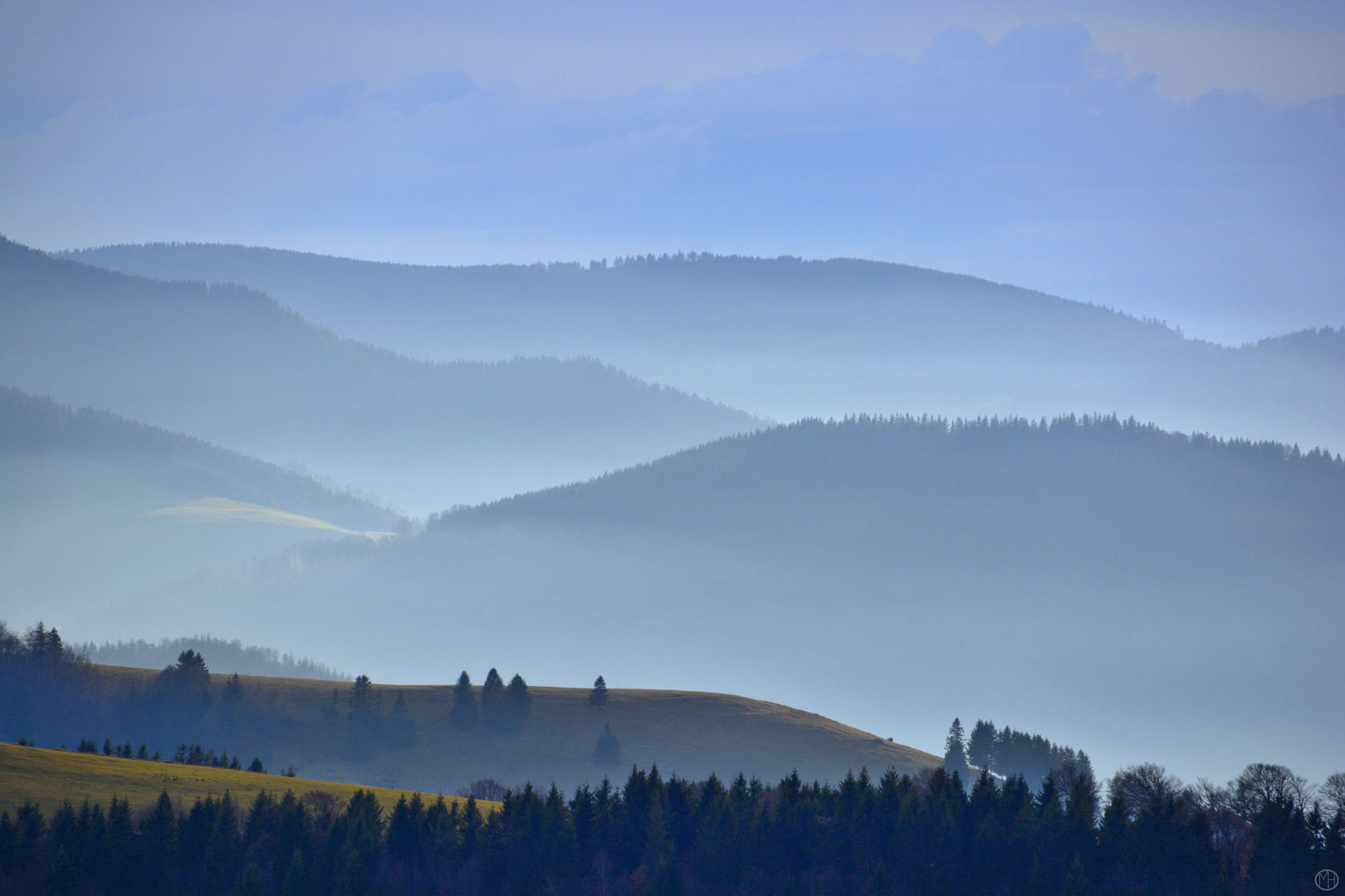 Black Forest Schauinsland