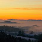 Black Forest Sunset