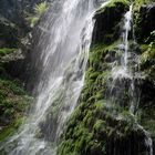 Black Forest Waterfall