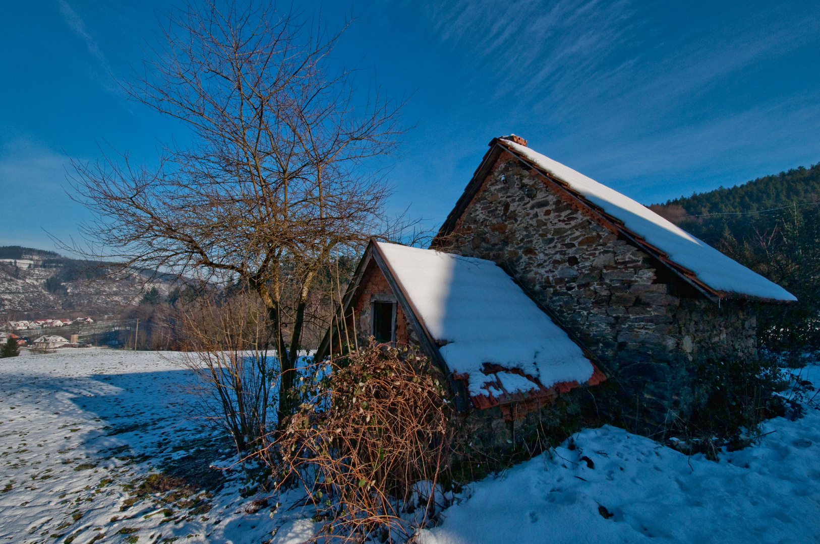 black forest.house