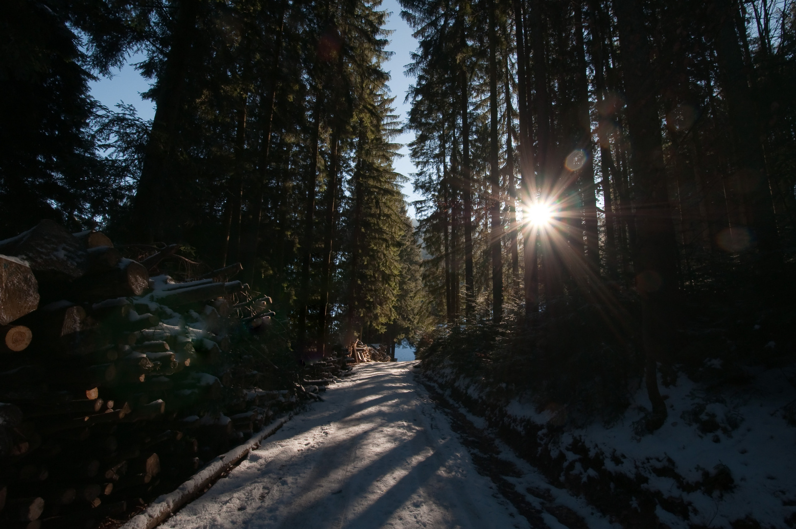 black forest.the way