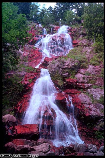 Black Forrest Waterfall