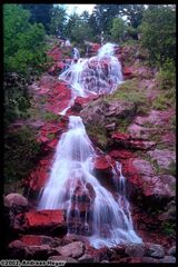 Black Forrest Waterfall