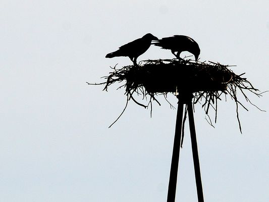 Black friday, schwarz weiß, black & white, blanco y negro 