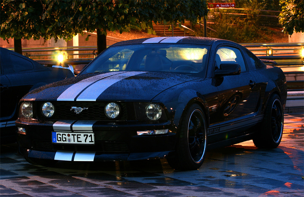 Black GT