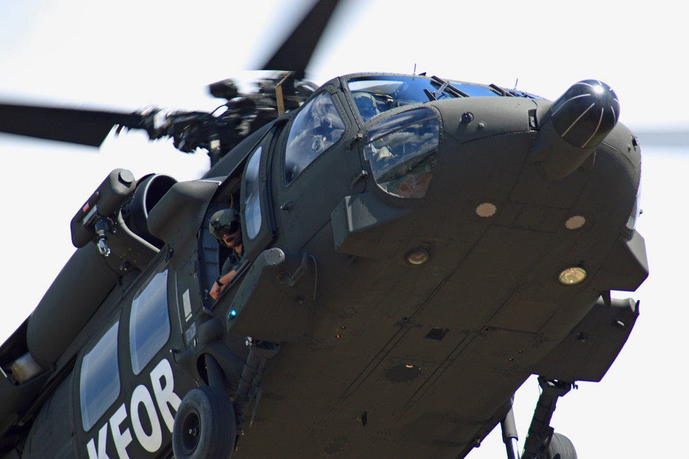 Black Hawk closeup