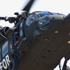 Black Hawk closeup