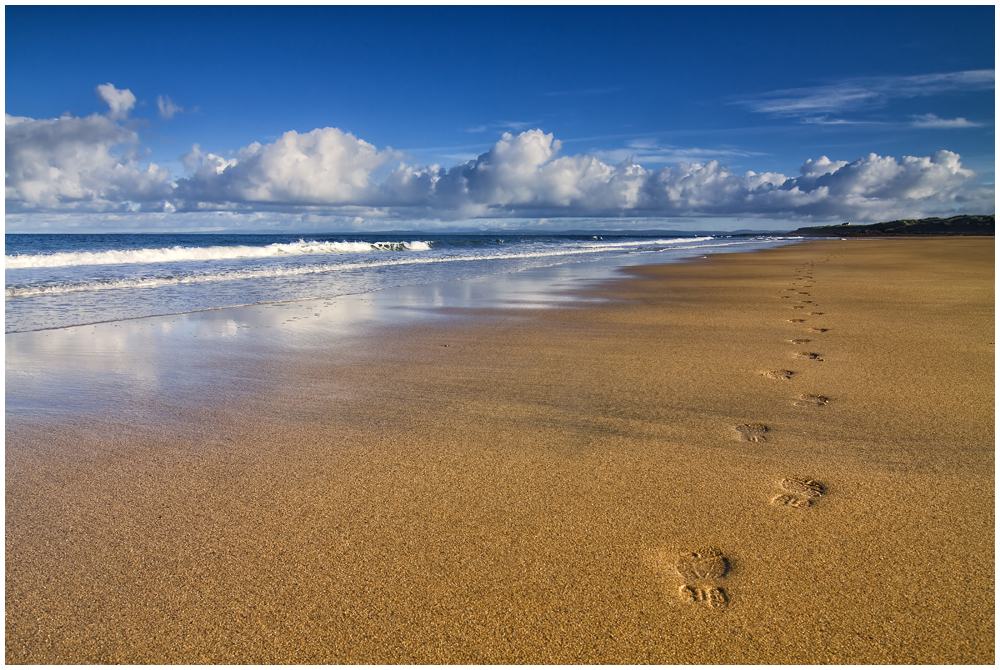 Black Head Beach