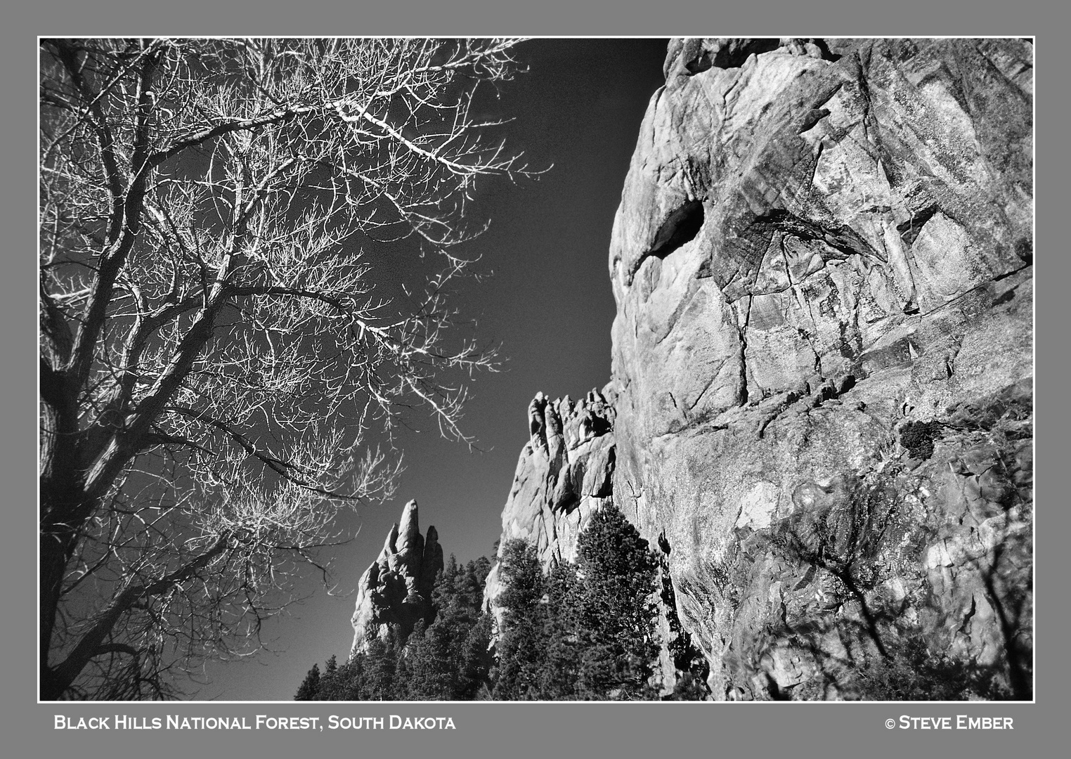 Black Hills National Forest