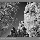 Black Hills National Forest