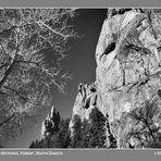 Black Hills National Forest