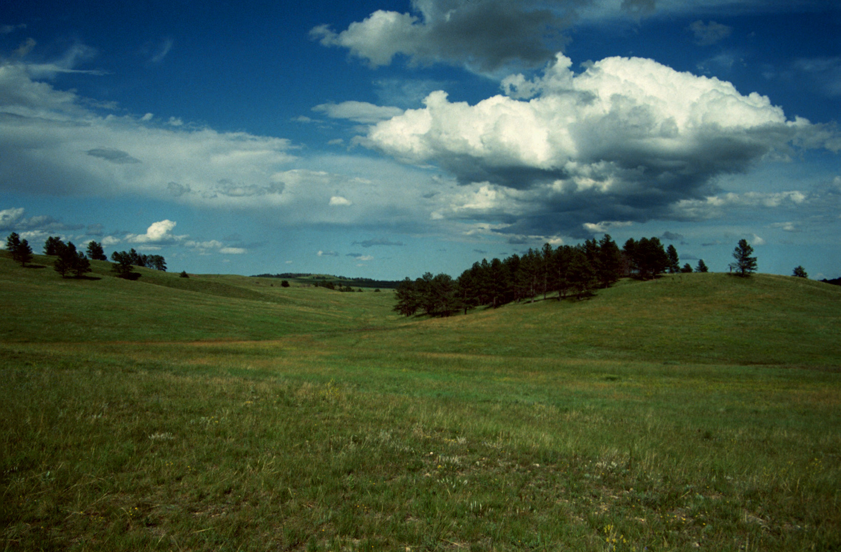 Black Hills, SD - 1993 (2)