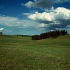 Black Hills, SD - 1993 (2)