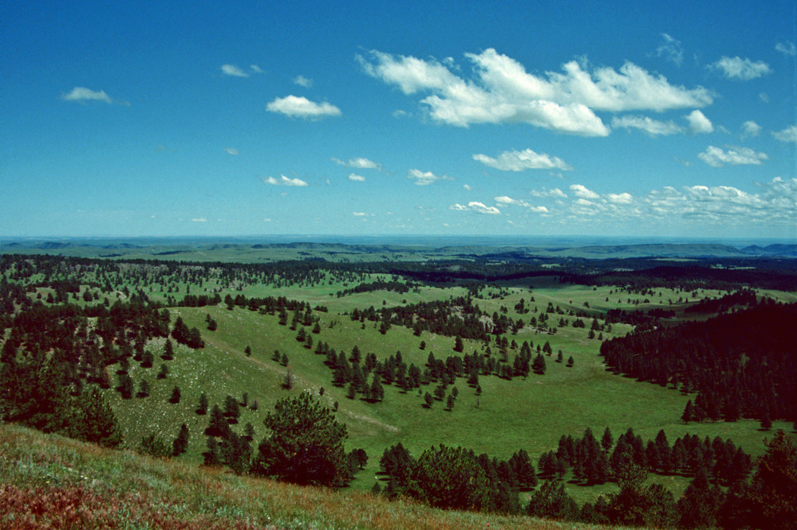 Black Hills, SD - 1993 (3)