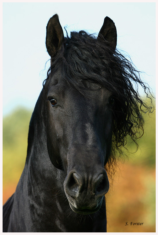 Black is beautiful