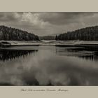 Black Lake on mountain Durmitor Montenegro