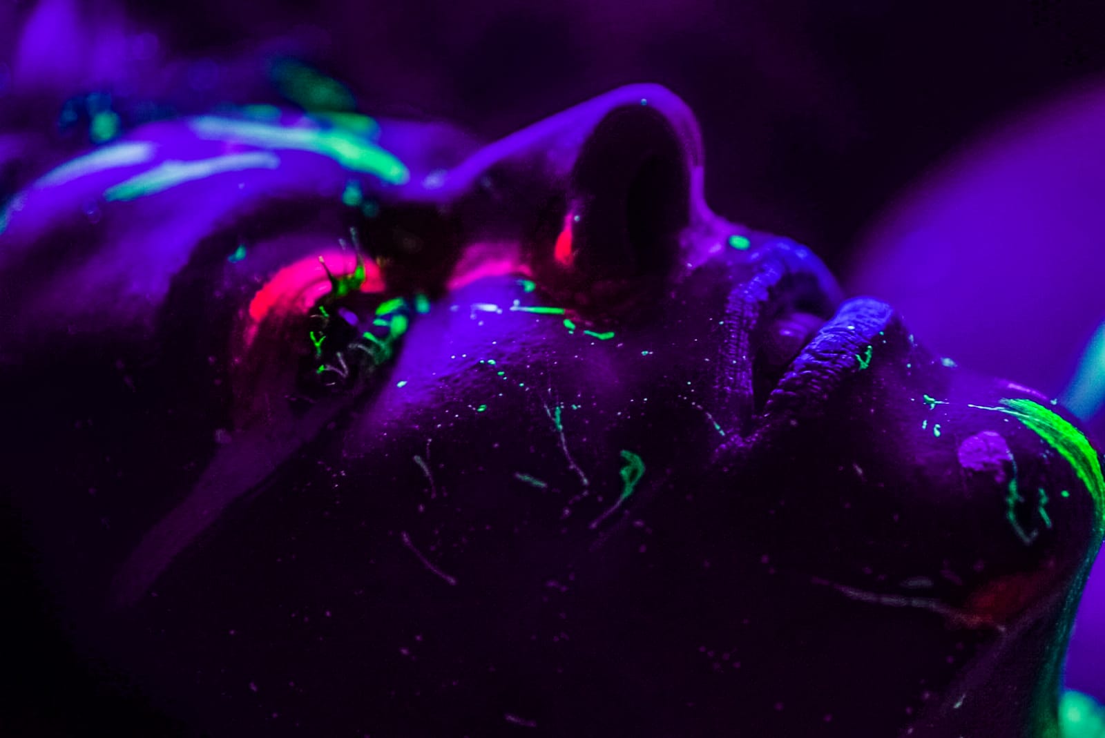 Black Light