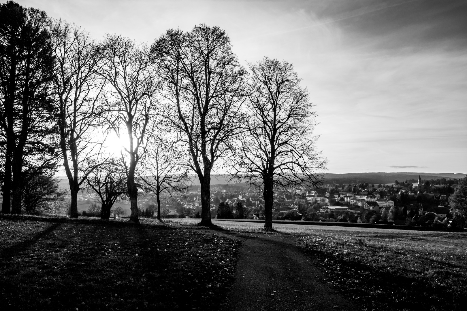 Black n' White autumn ...