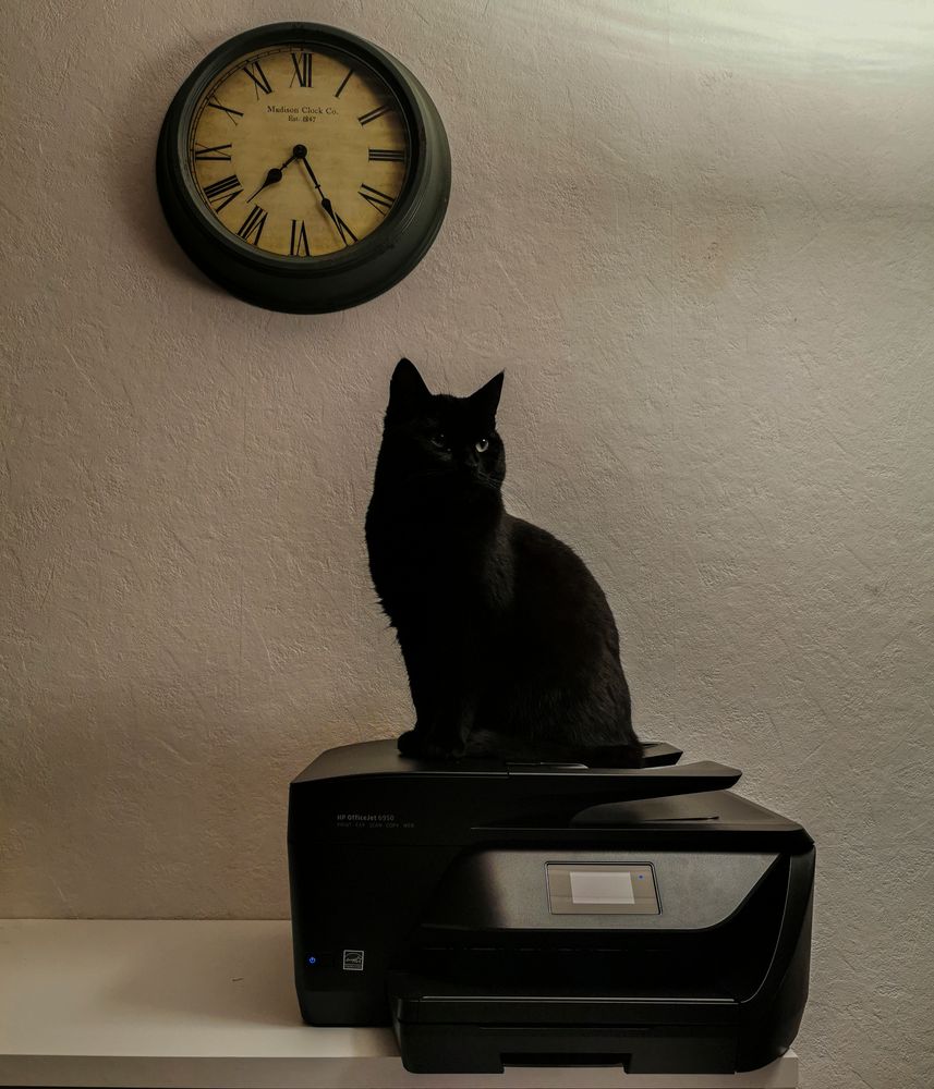 black panther on black printer under black clock