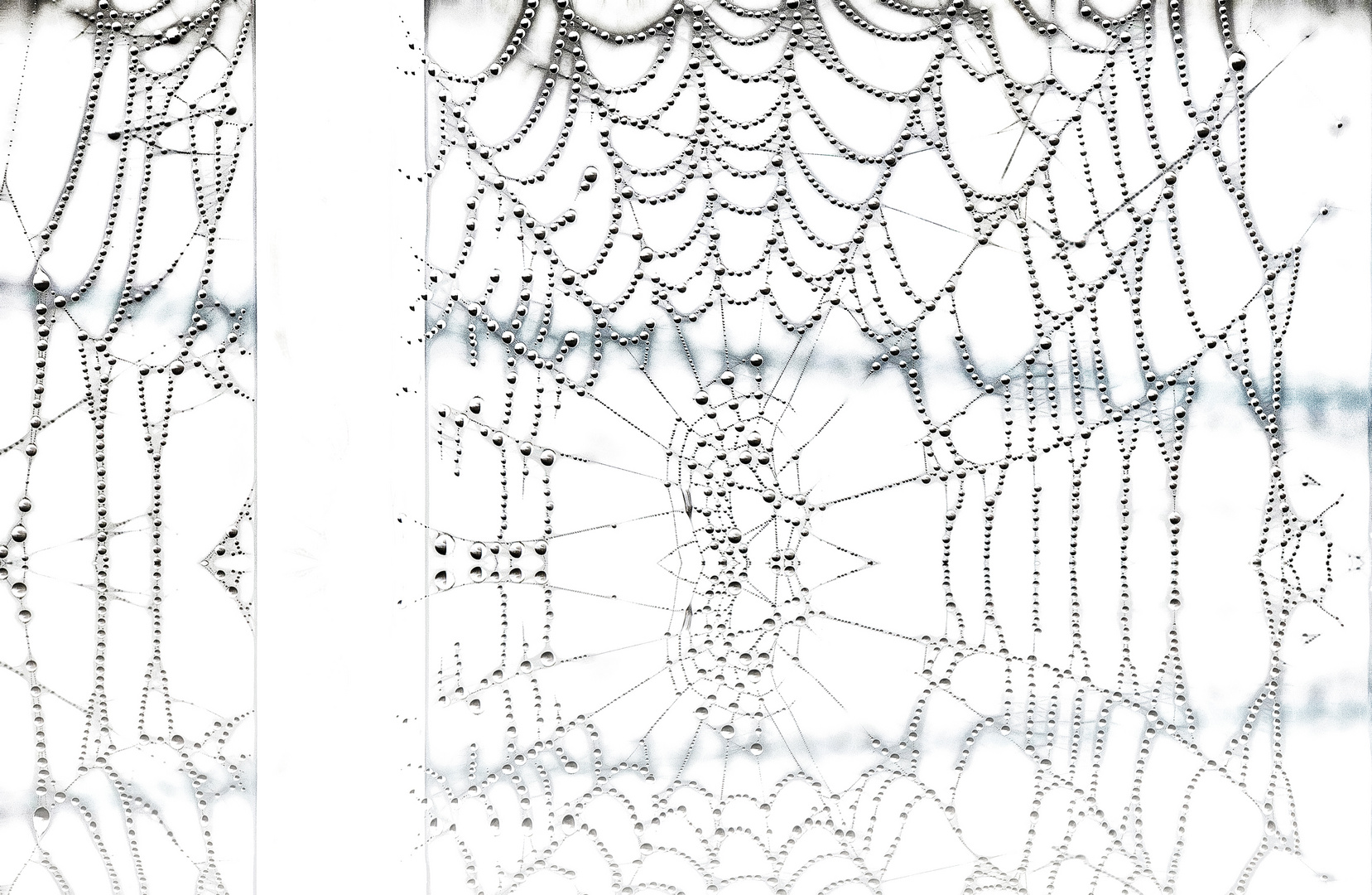 black pearls Foto & Bild fotokunst, monochrome fine art, stillleben