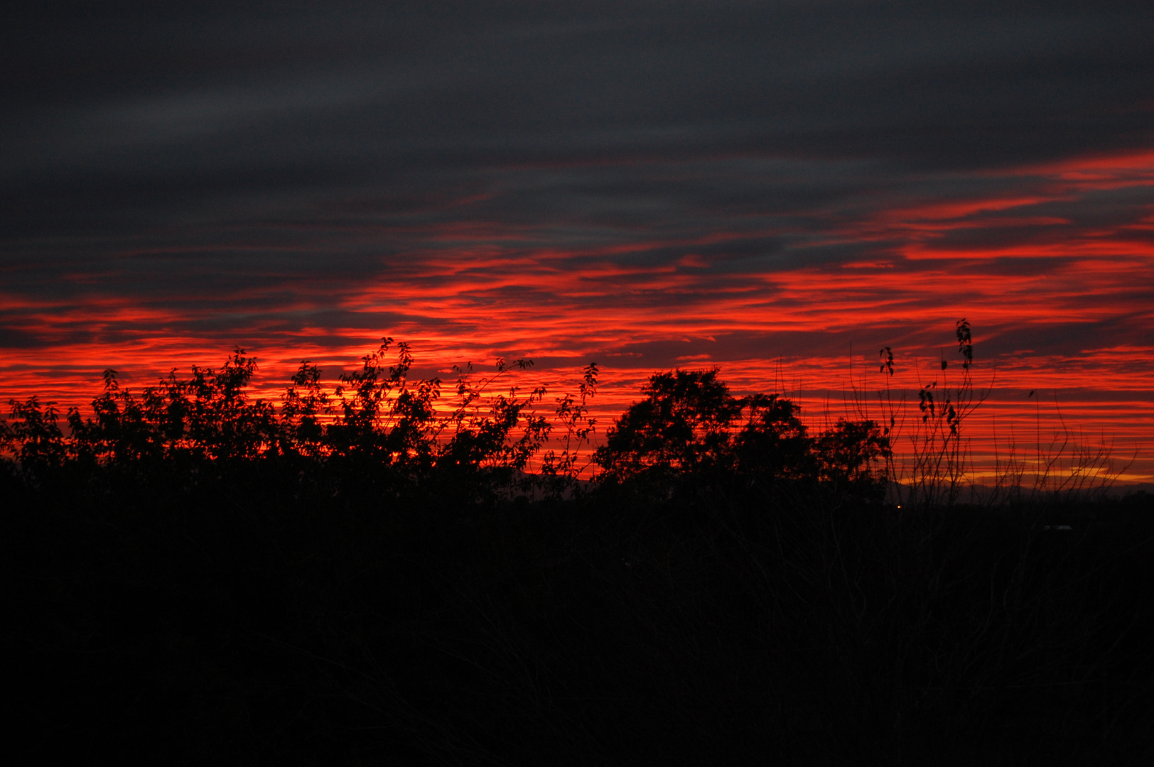 Black & Red Sky