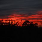 Black & Red Sky