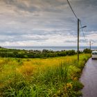 Black River bei Choisy