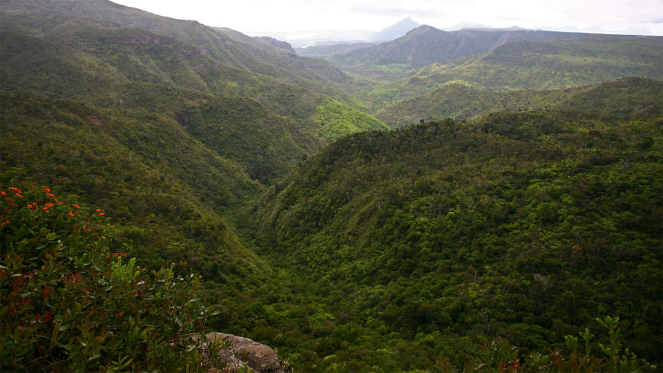 Black River Gorge National Park I / MU