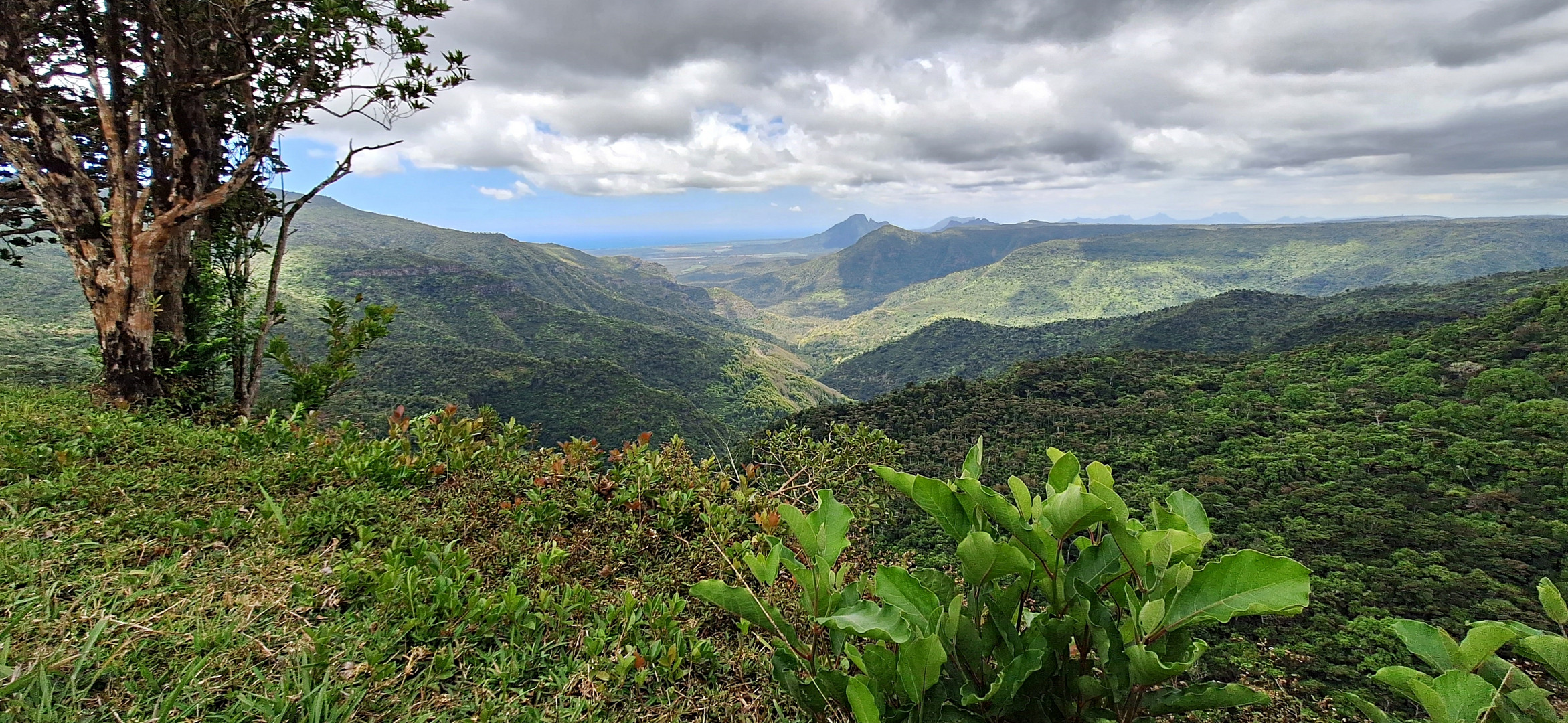 Black River Gorges