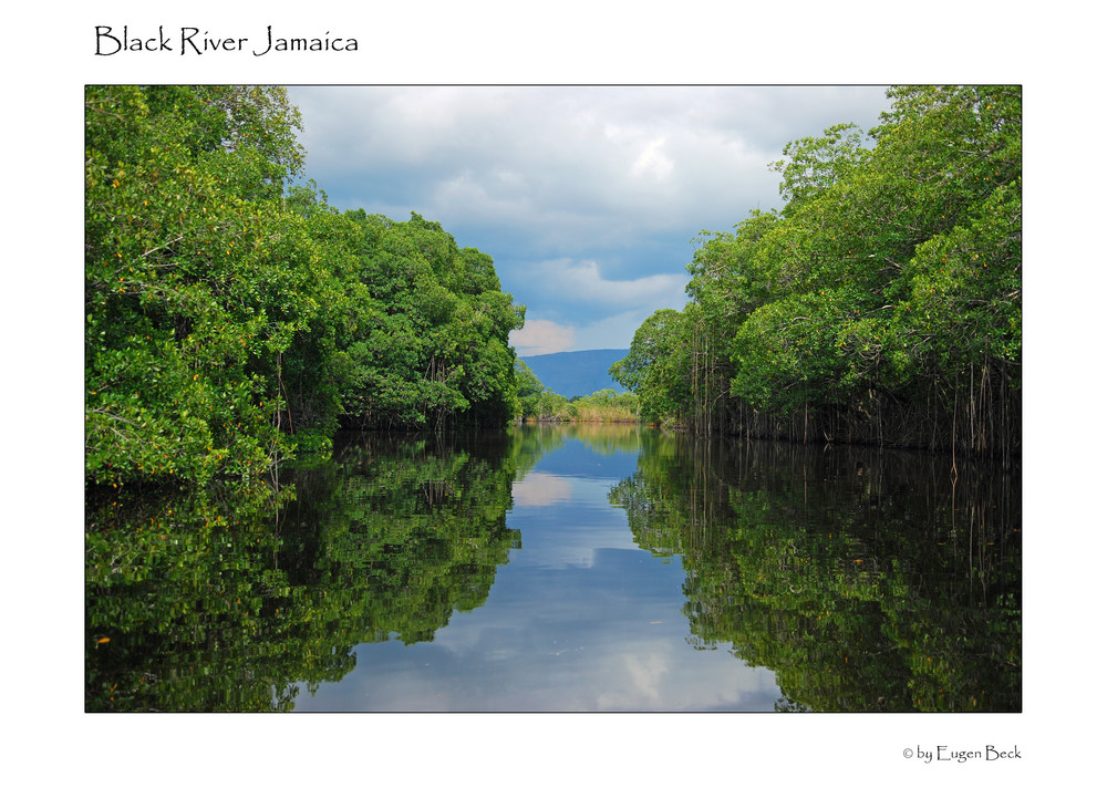Black River Jamaica