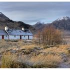 Black rock cottage