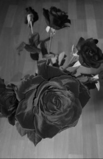 Black Rose