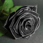 Black Rose