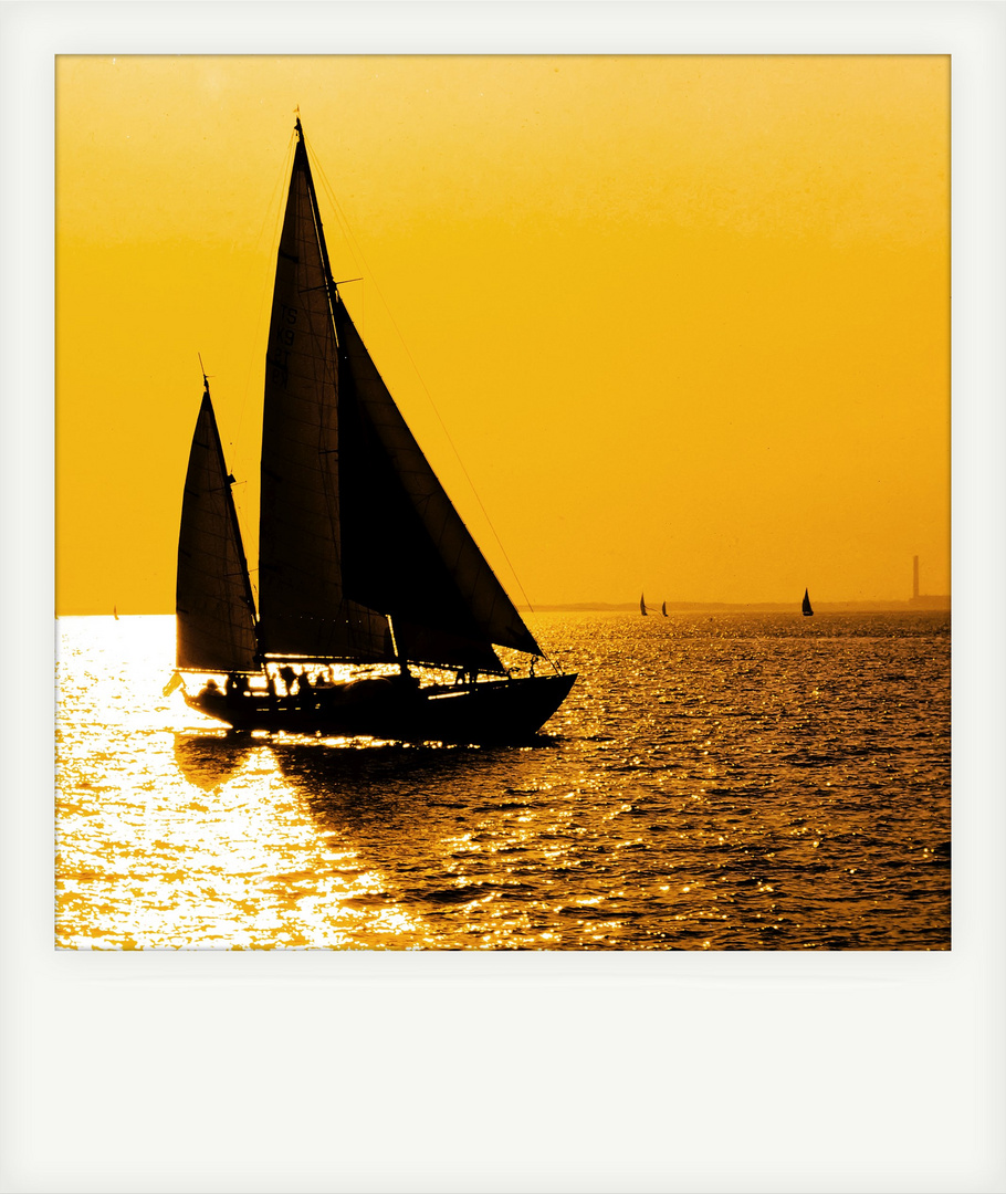 Black Sails on Solent