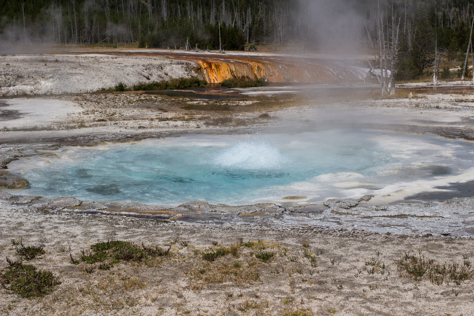 Black Sand Basin