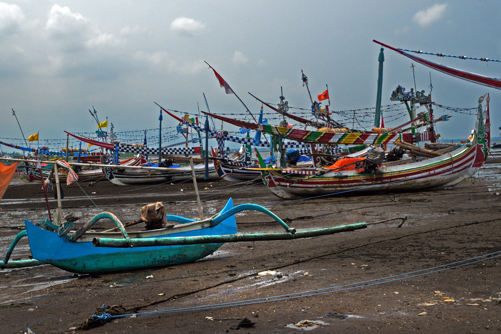 Black sand beach in Sukamade north-east Java