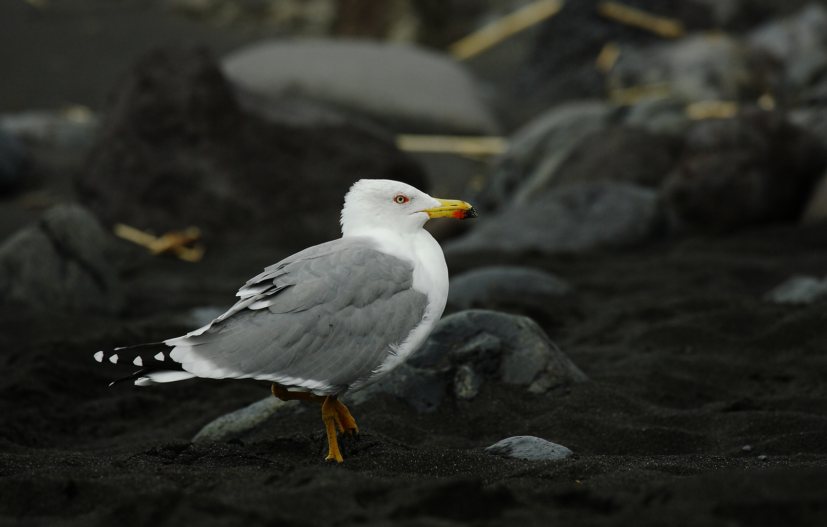 Black Sand