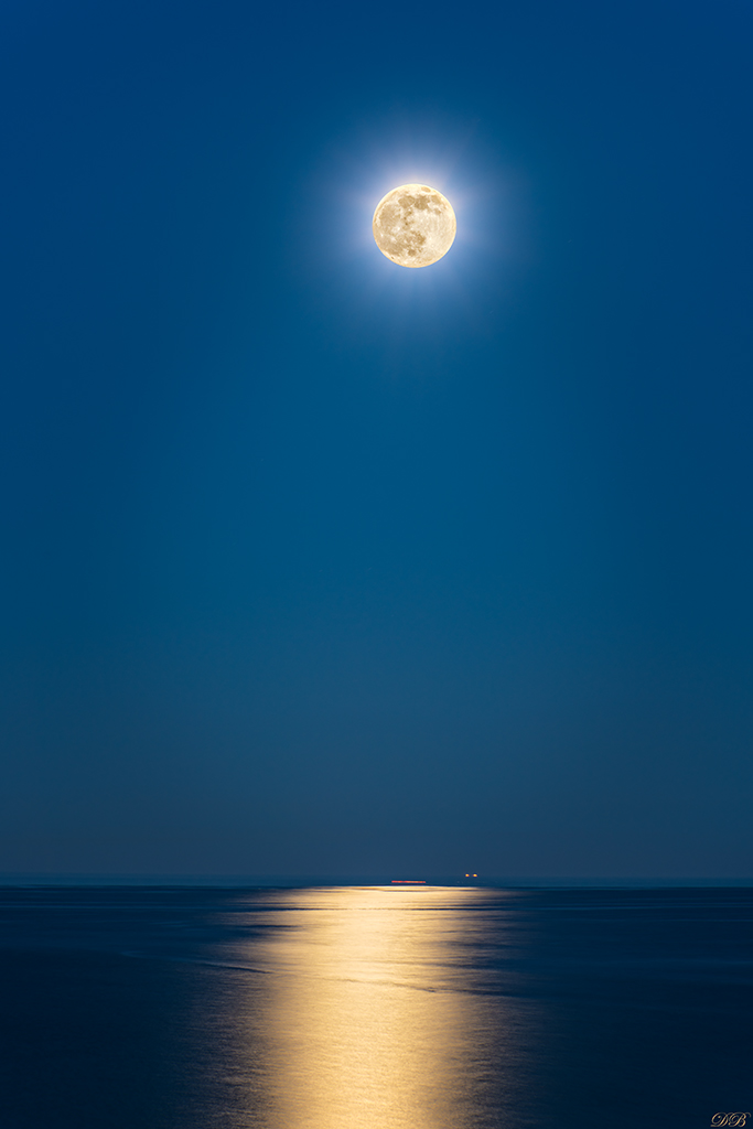 Black Sea by Moonlight