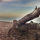 Black Sea in Winter