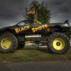 BLACK SPIDER