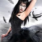 Black Swan