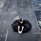 Black Swan