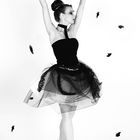 Black Swan 5