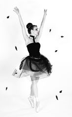 Black Swan 5