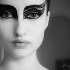 Black Swan