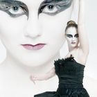 Black Swan