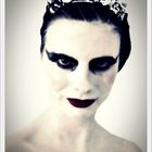 black swan