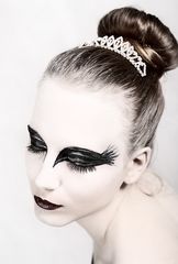 black swan III